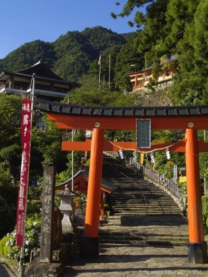 torii