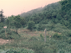 遺跡近景(南→北 1968年 ms143)