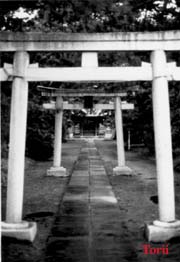 [Torii]