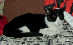 sleeping noa